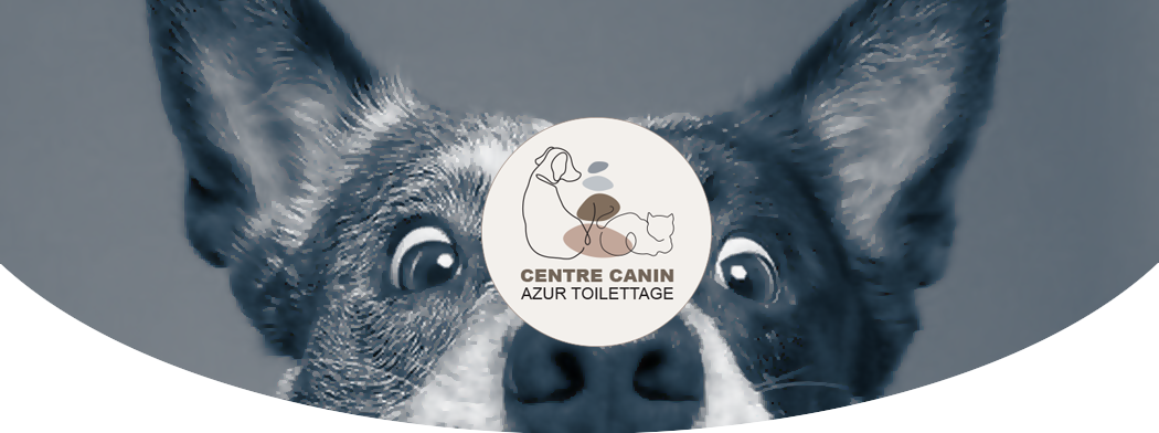 bandeau pour la page contact du centre canin azur toilettage