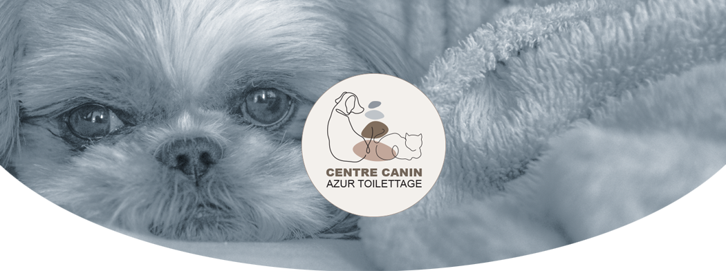 bandeau pour la page du spa bien-être canin