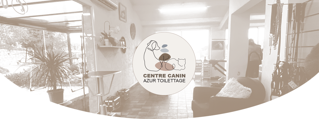 bandeau pour la page toilettage du centre canin azur toilettage 