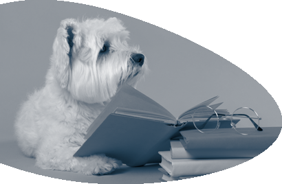 petit chien blanc qui lit un livre
